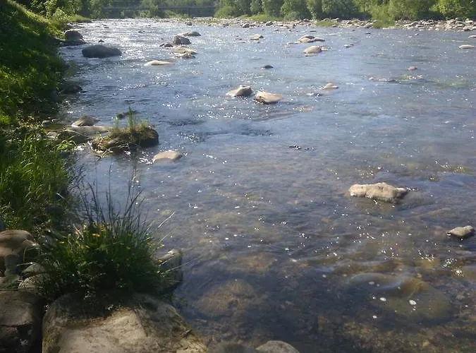 Yablunevyi Tsvit * Yaremche
