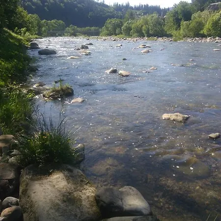 Yablunevyi Tsvit * ירמכה